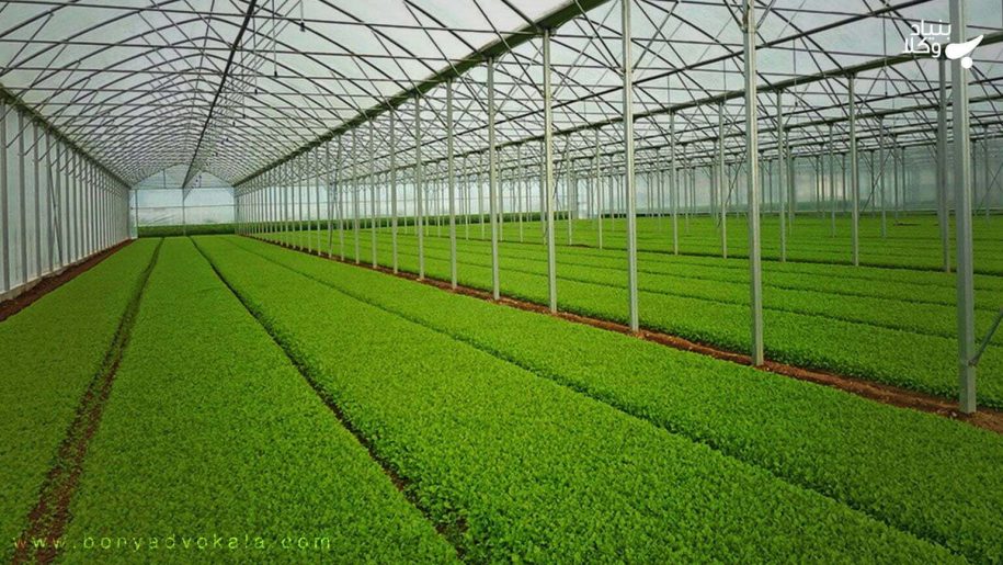 رطوبت ساز در گلخانه